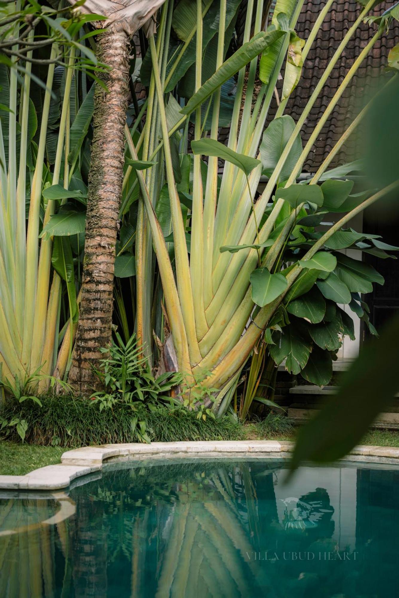 Villa Ubud Heart 外观 照片